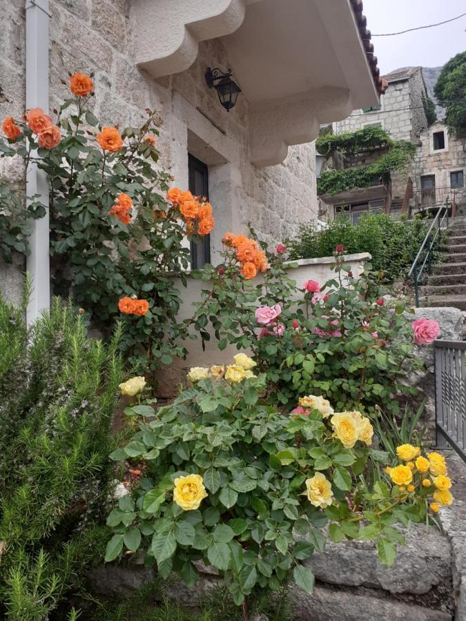Vila Divna Podgora Exteriér fotografie